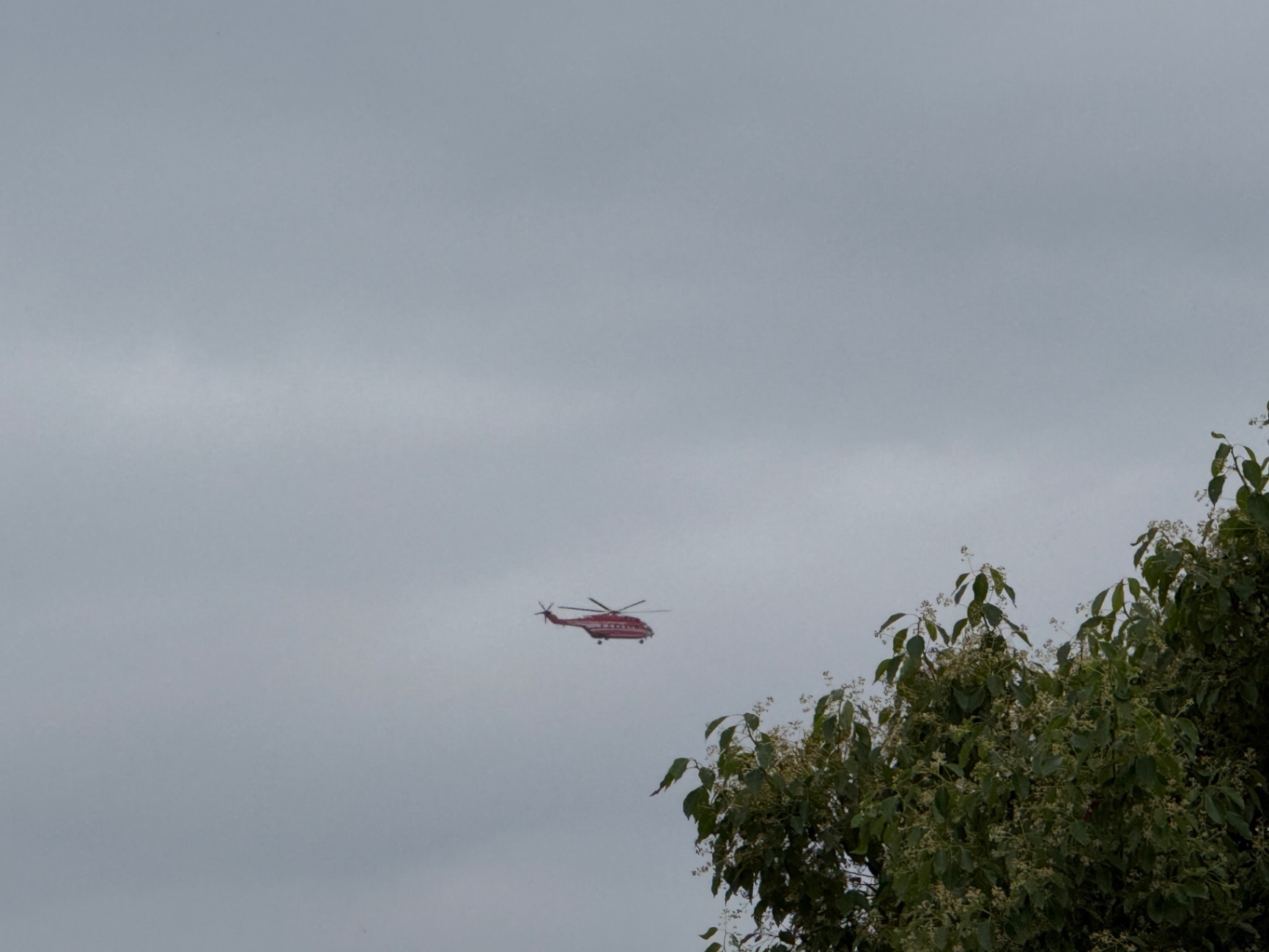 武汉春天的尾巴