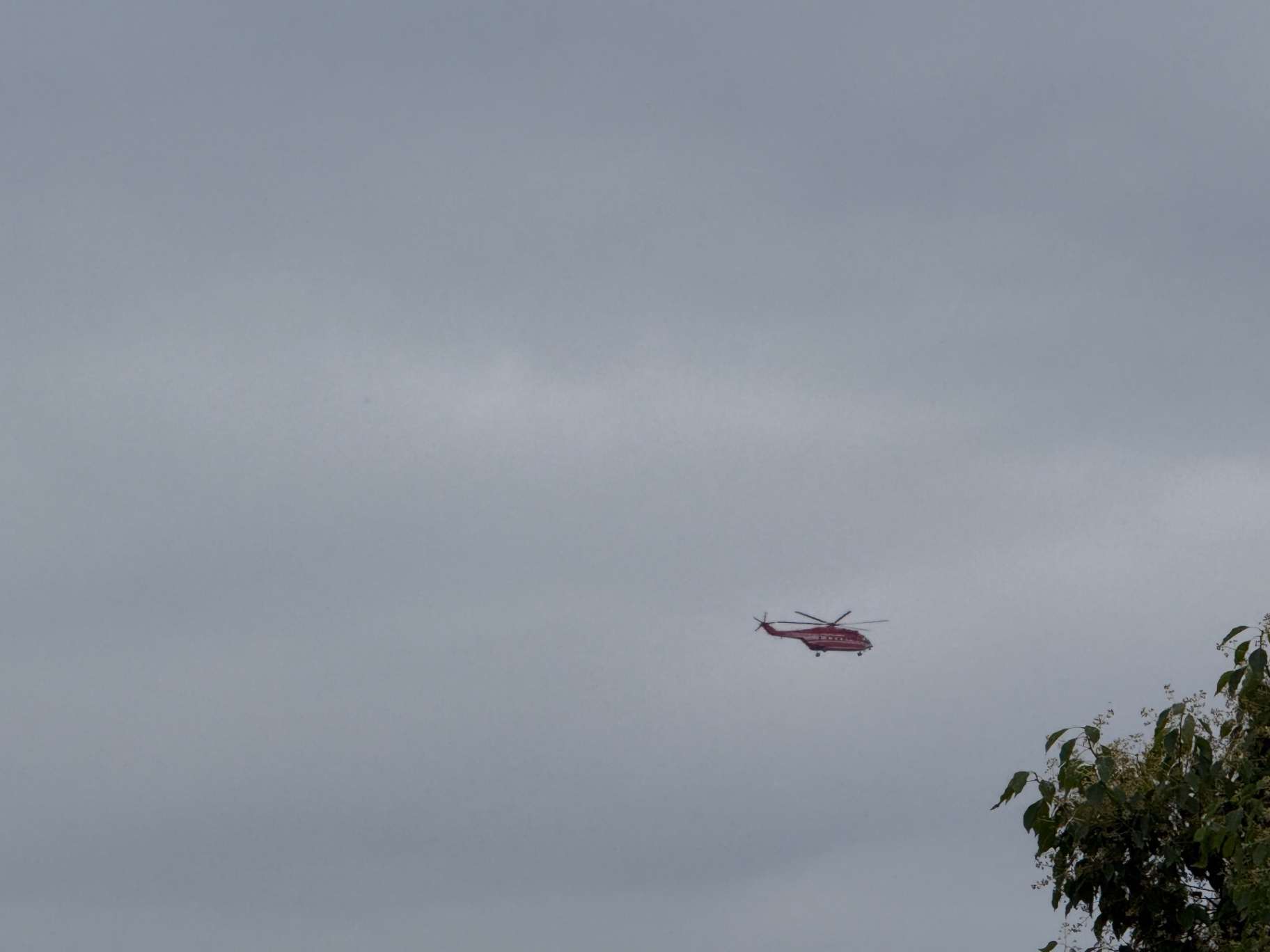 武汉春天的尾巴