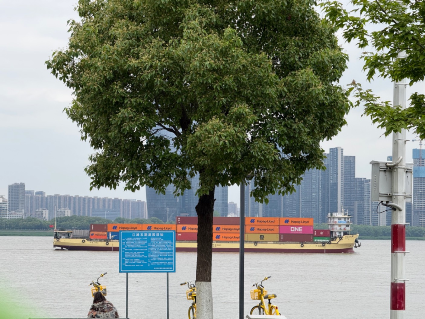 武汉春天的尾巴