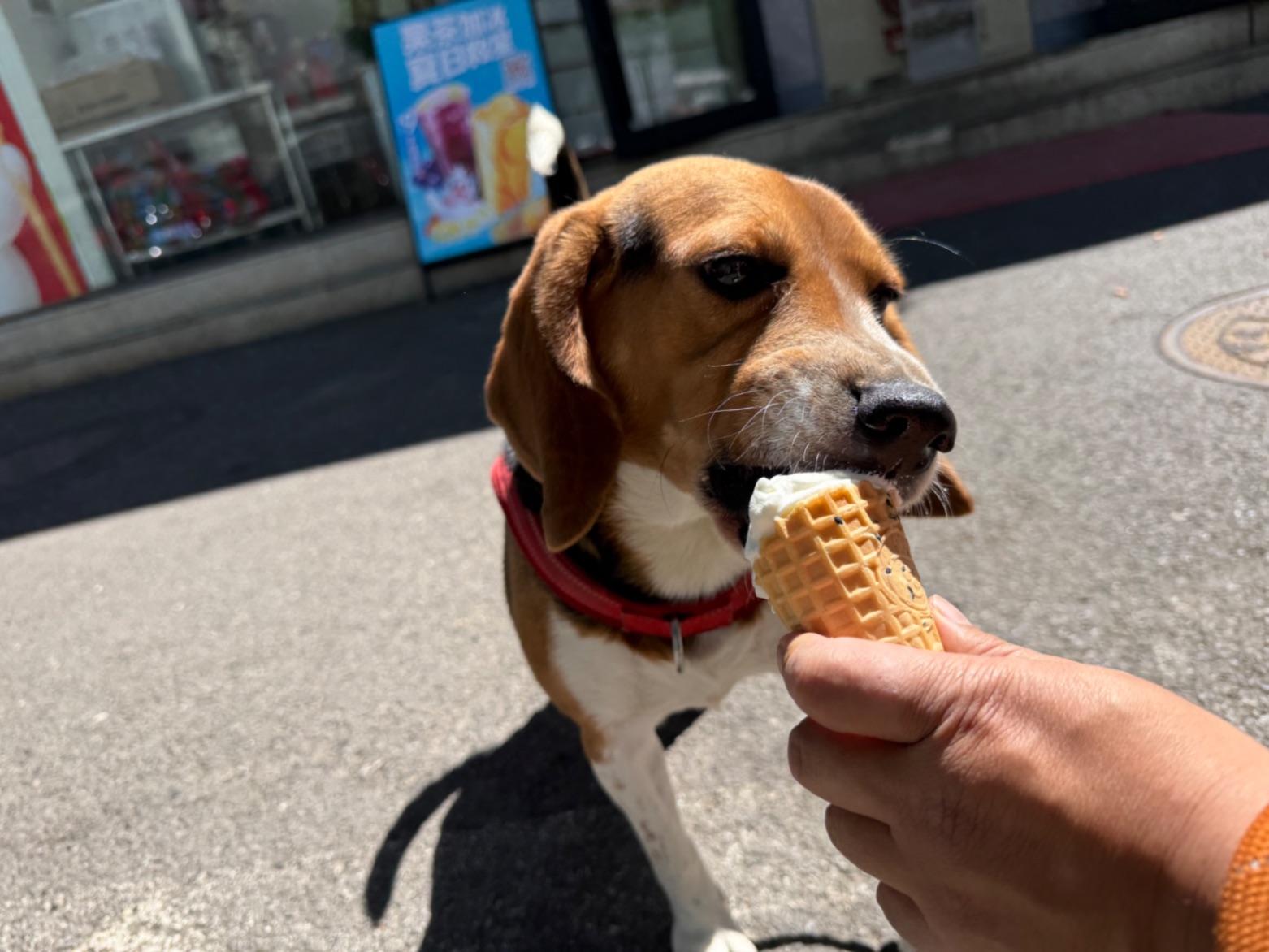 办公室的多巴胺