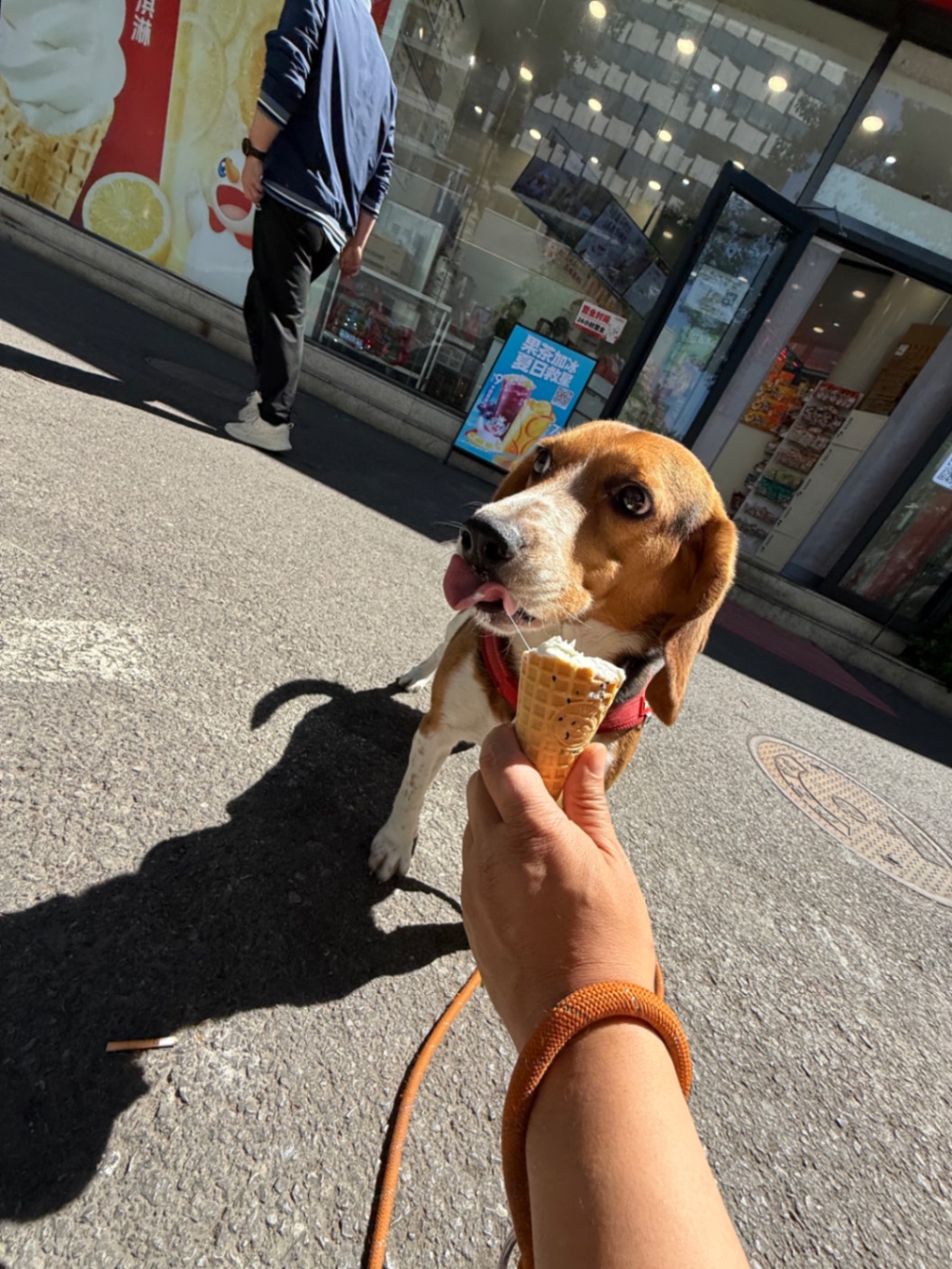 办公室的多巴胺