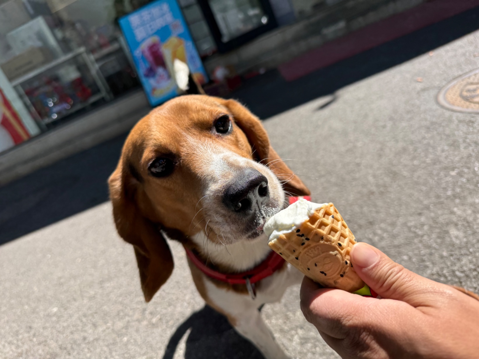 办公室的多巴胺