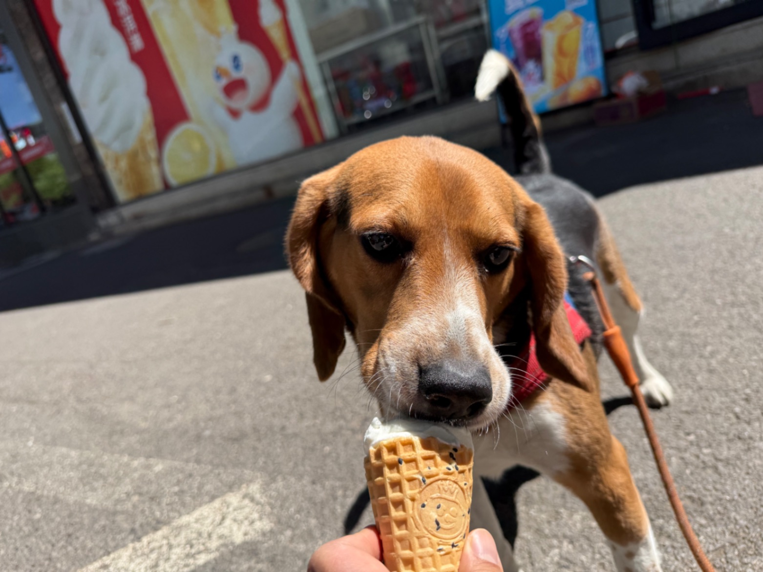 办公室的多巴胺