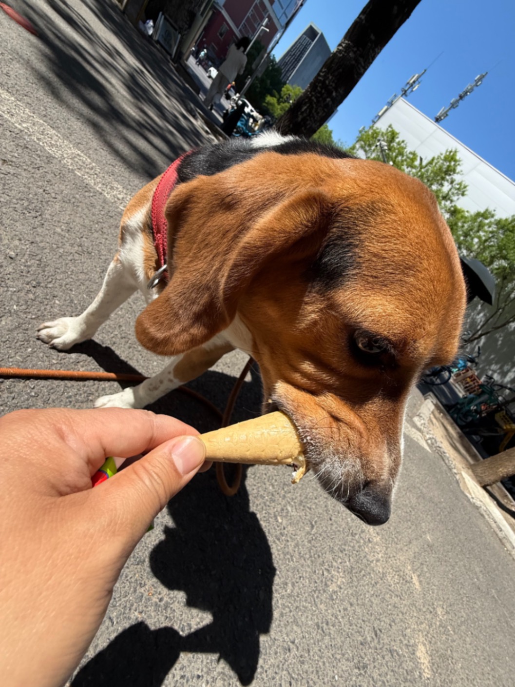 办公室的多巴胺