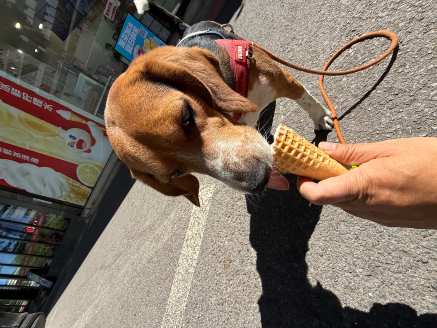 办公室的多巴胺