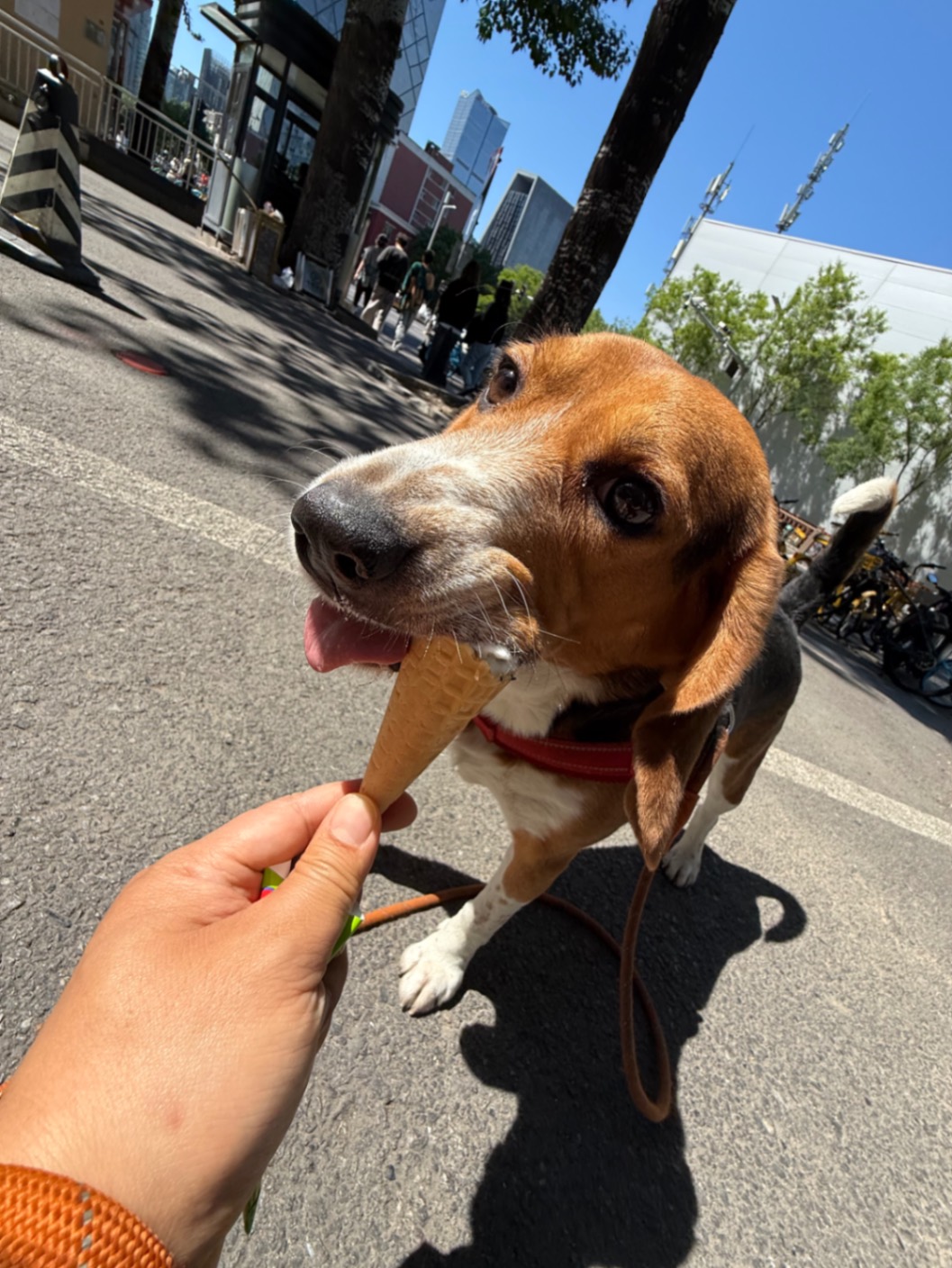 办公室的多巴胺