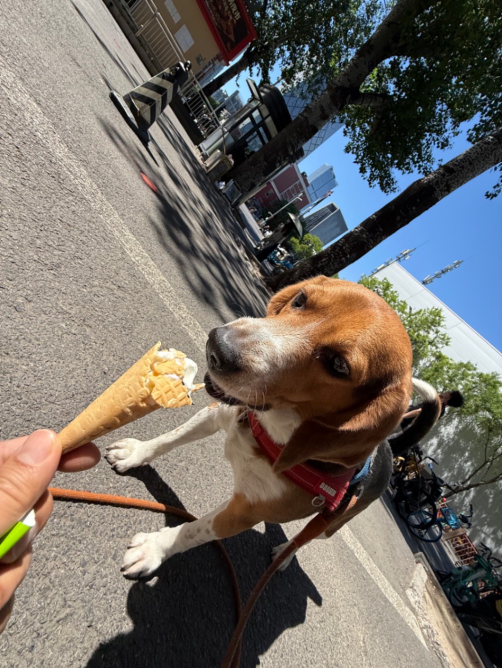 办公室的多巴胺