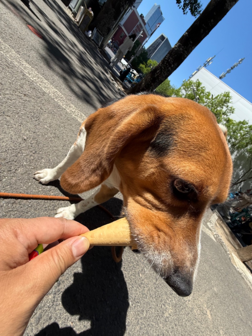 办公室的多巴胺