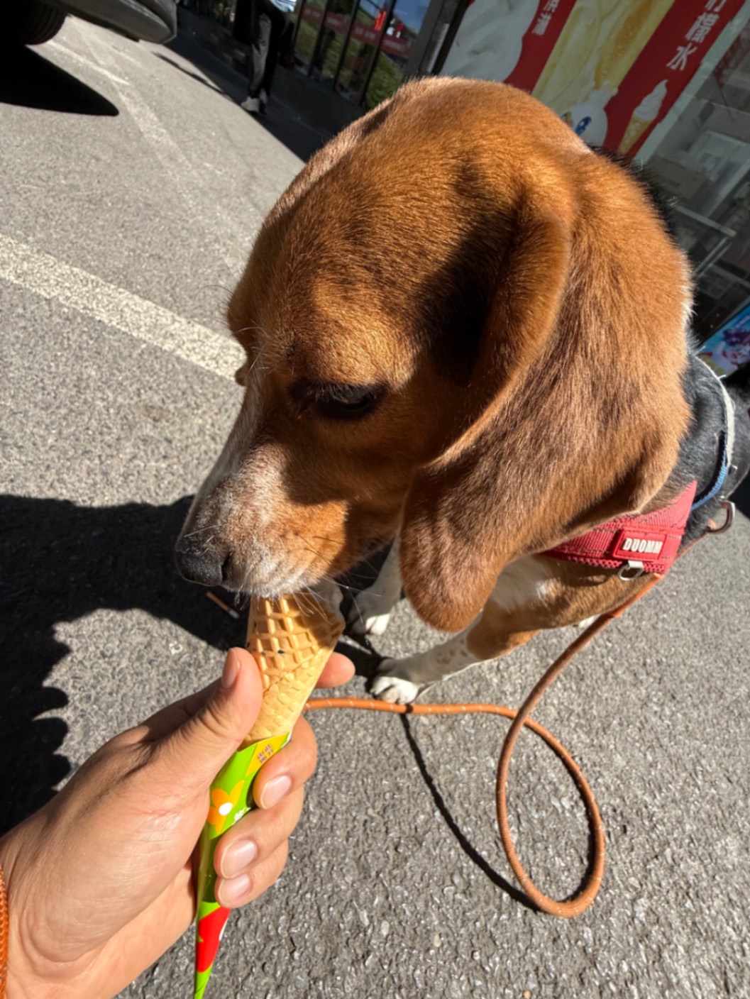 办公室的多巴胺