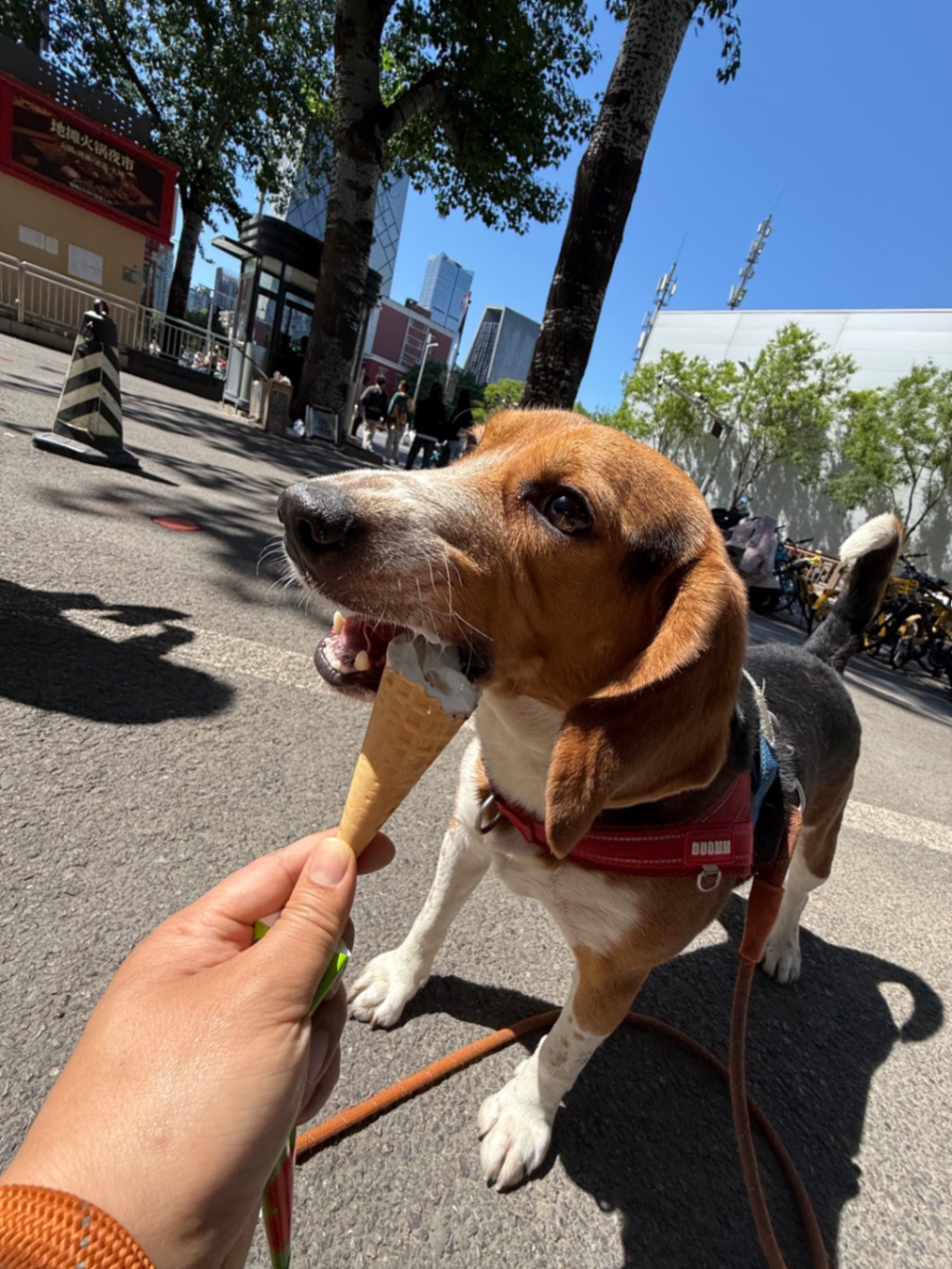 办公室的多巴胺