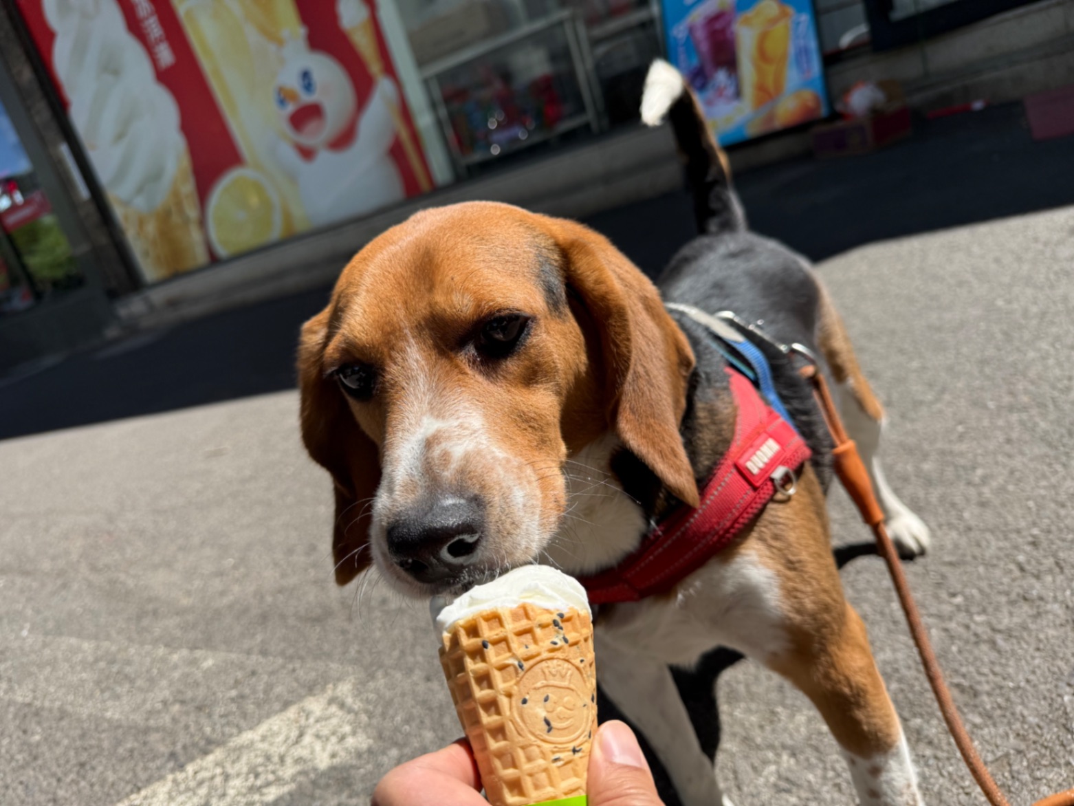 办公室的多巴胺