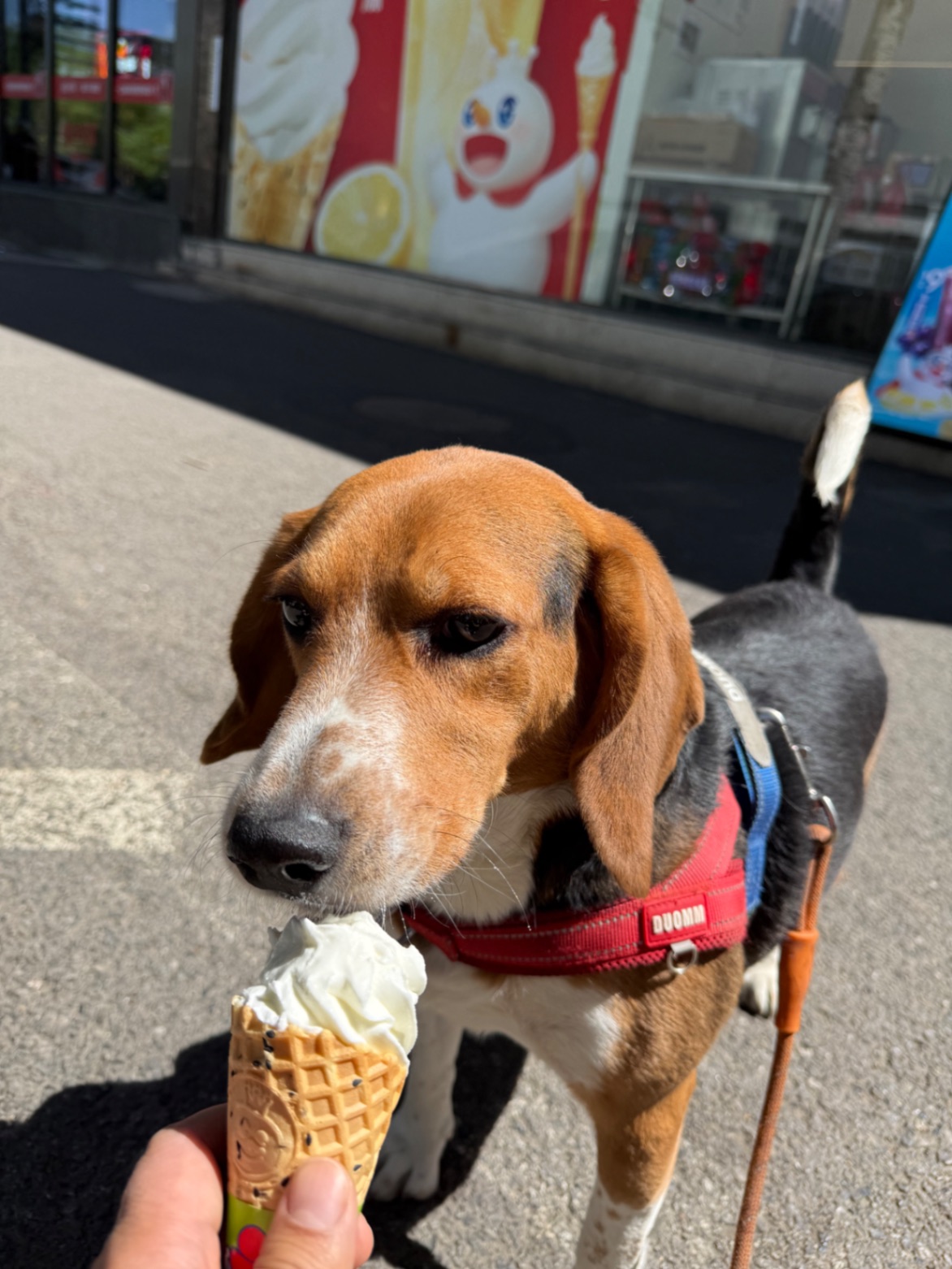 办公室的多巴胺