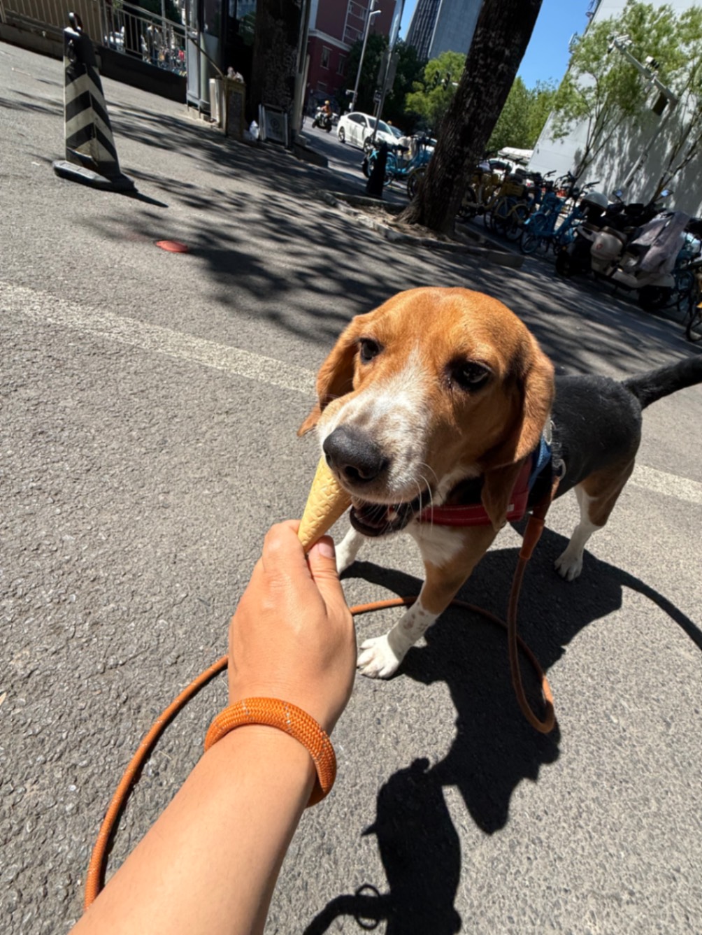 办公室的多巴胺