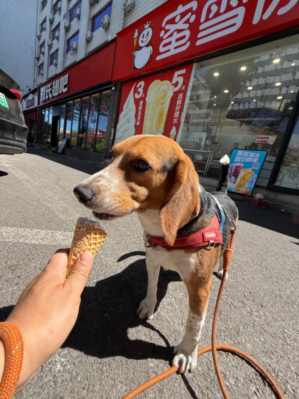 办公室的多巴胺