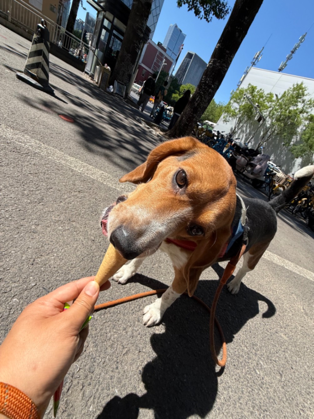 办公室的多巴胺