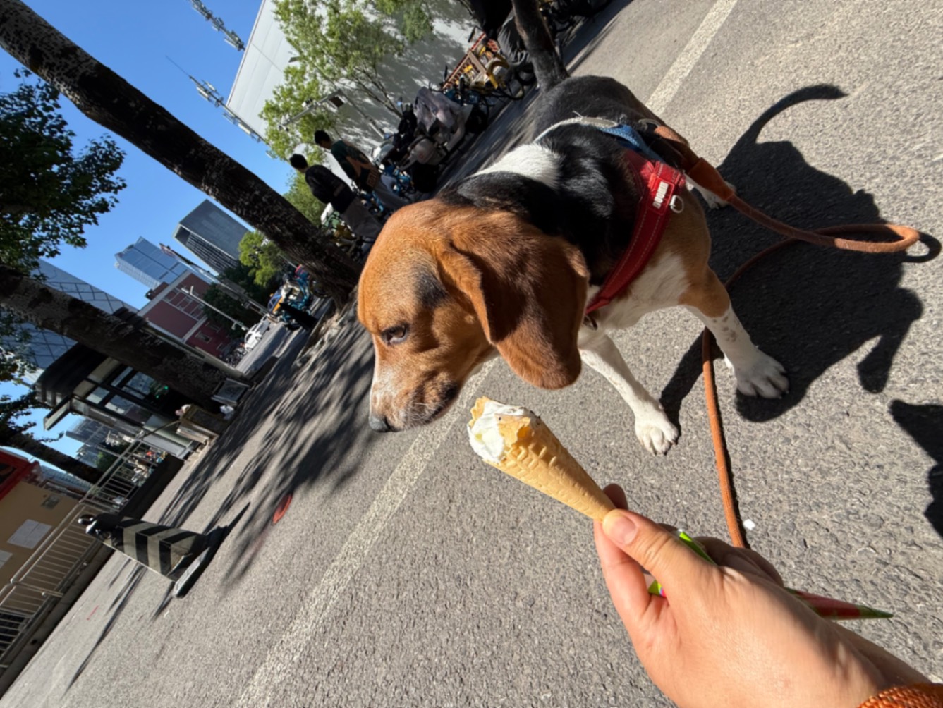 办公室的多巴胺