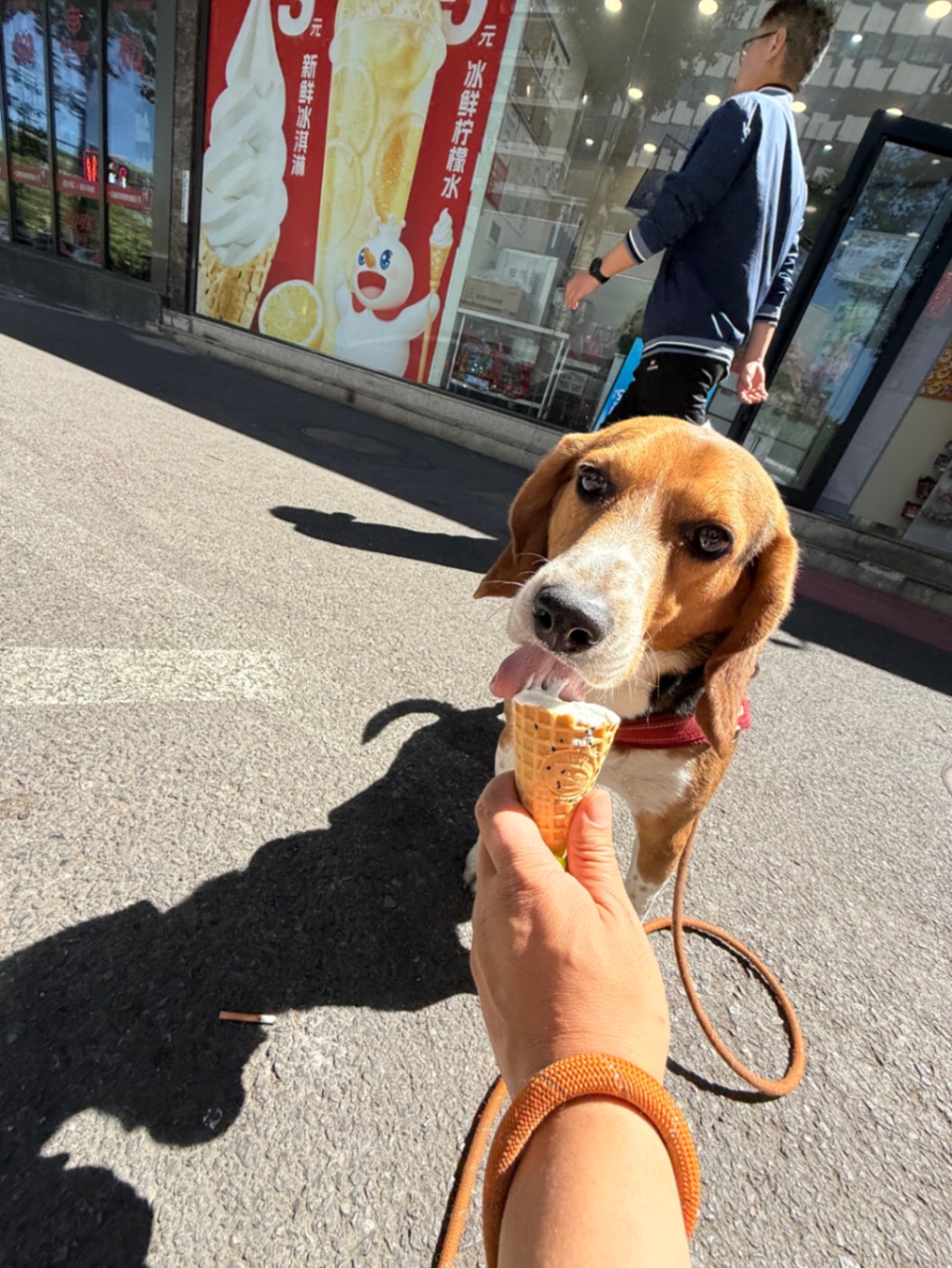 办公室的多巴胺