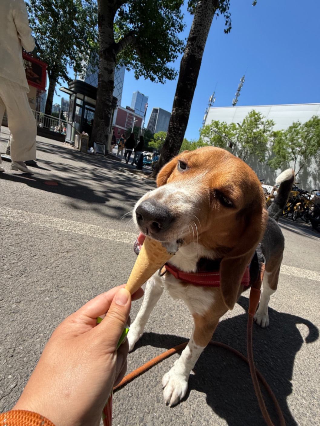 办公室的多巴胺