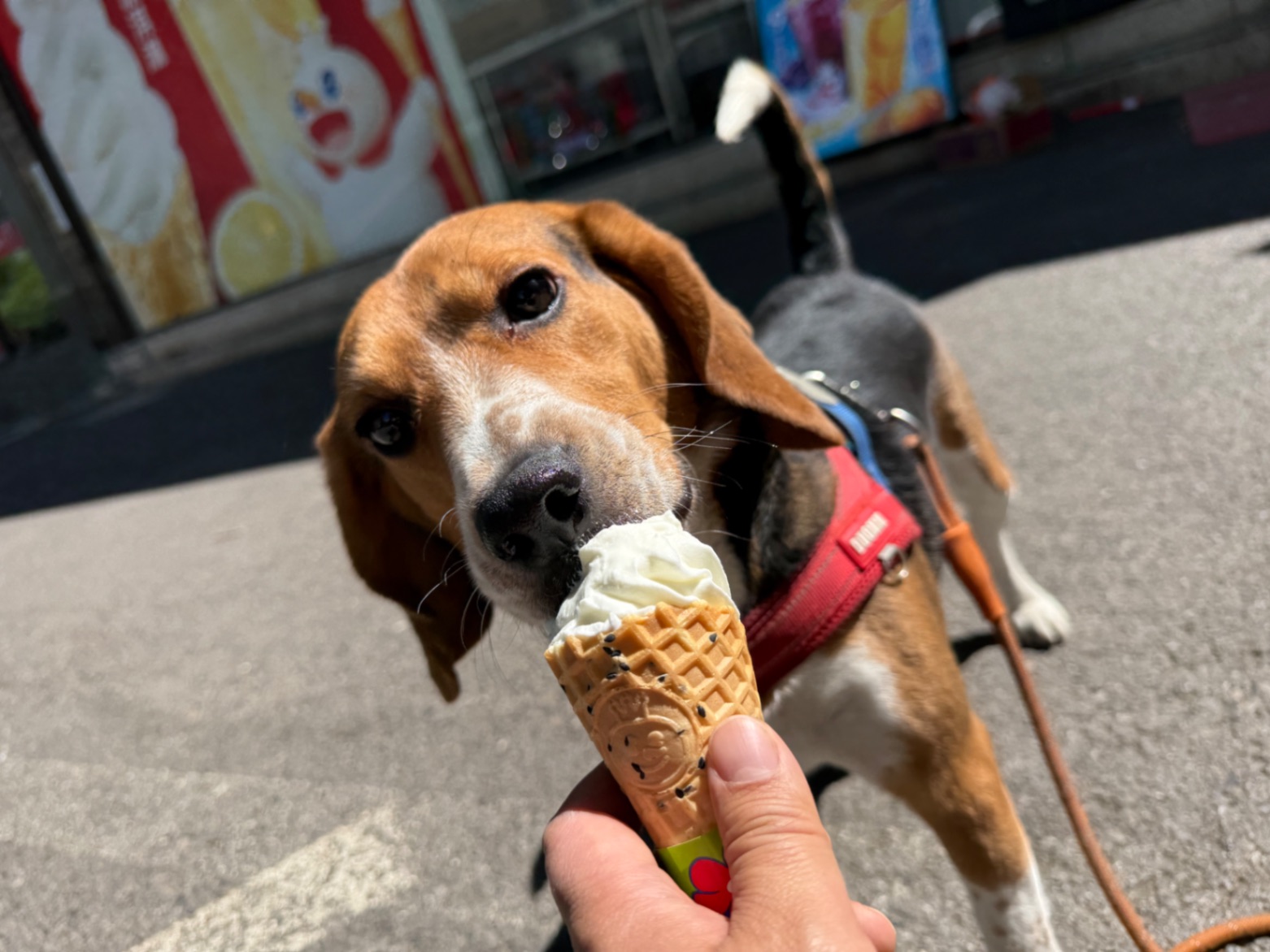 办公室的多巴胺