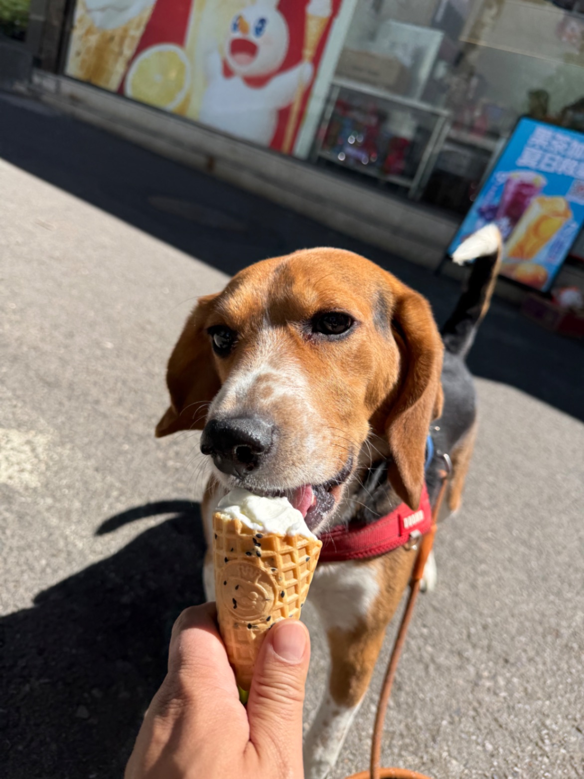 办公室的多巴胺