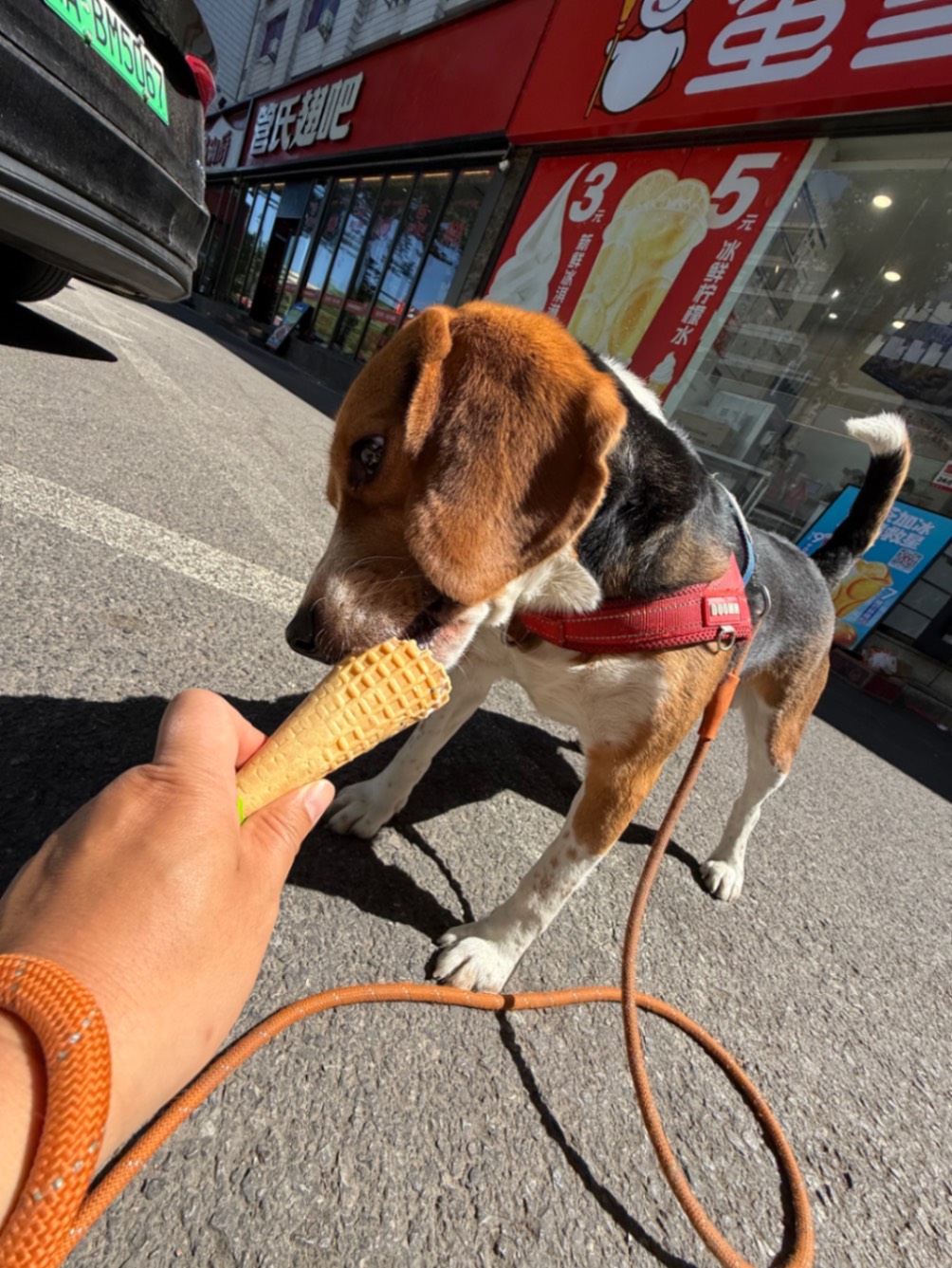 办公室的多巴胺