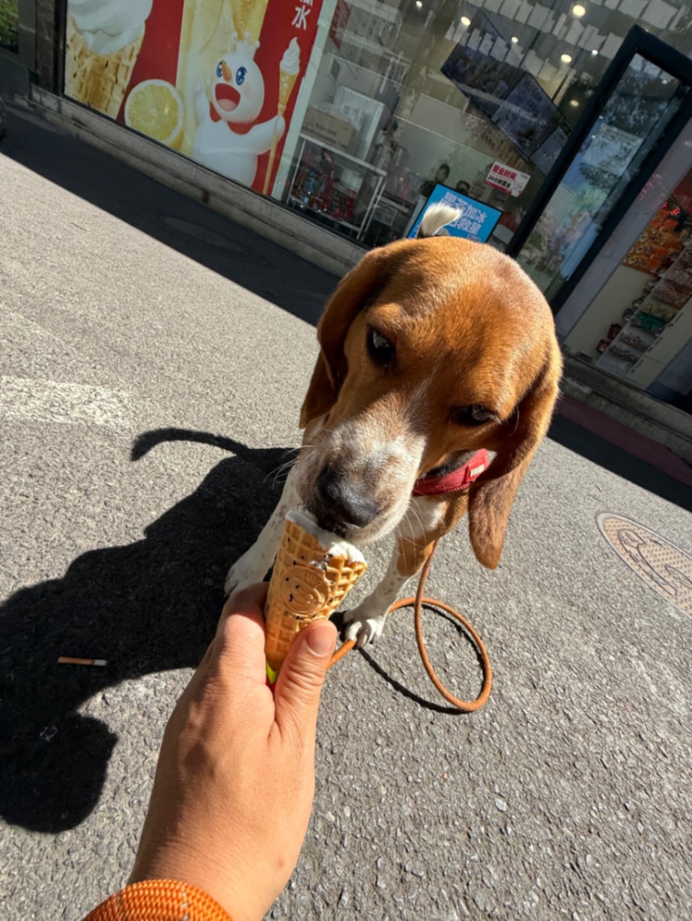 办公室的多巴胺