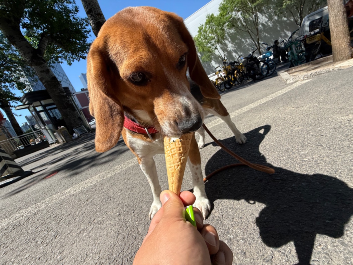 办公室的多巴胺