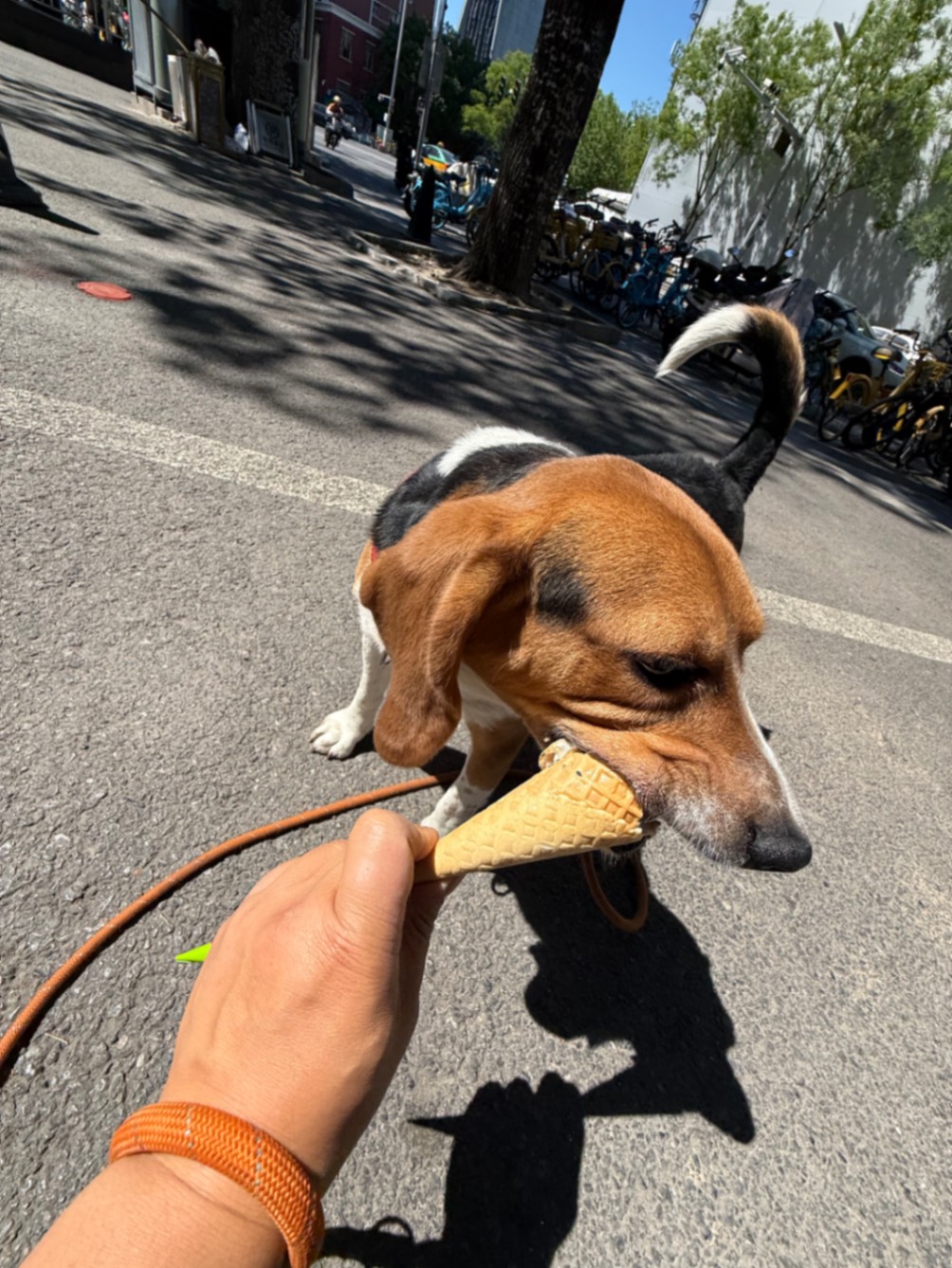 办公室的多巴胺