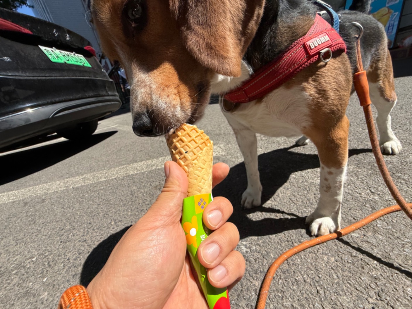 办公室的多巴胺