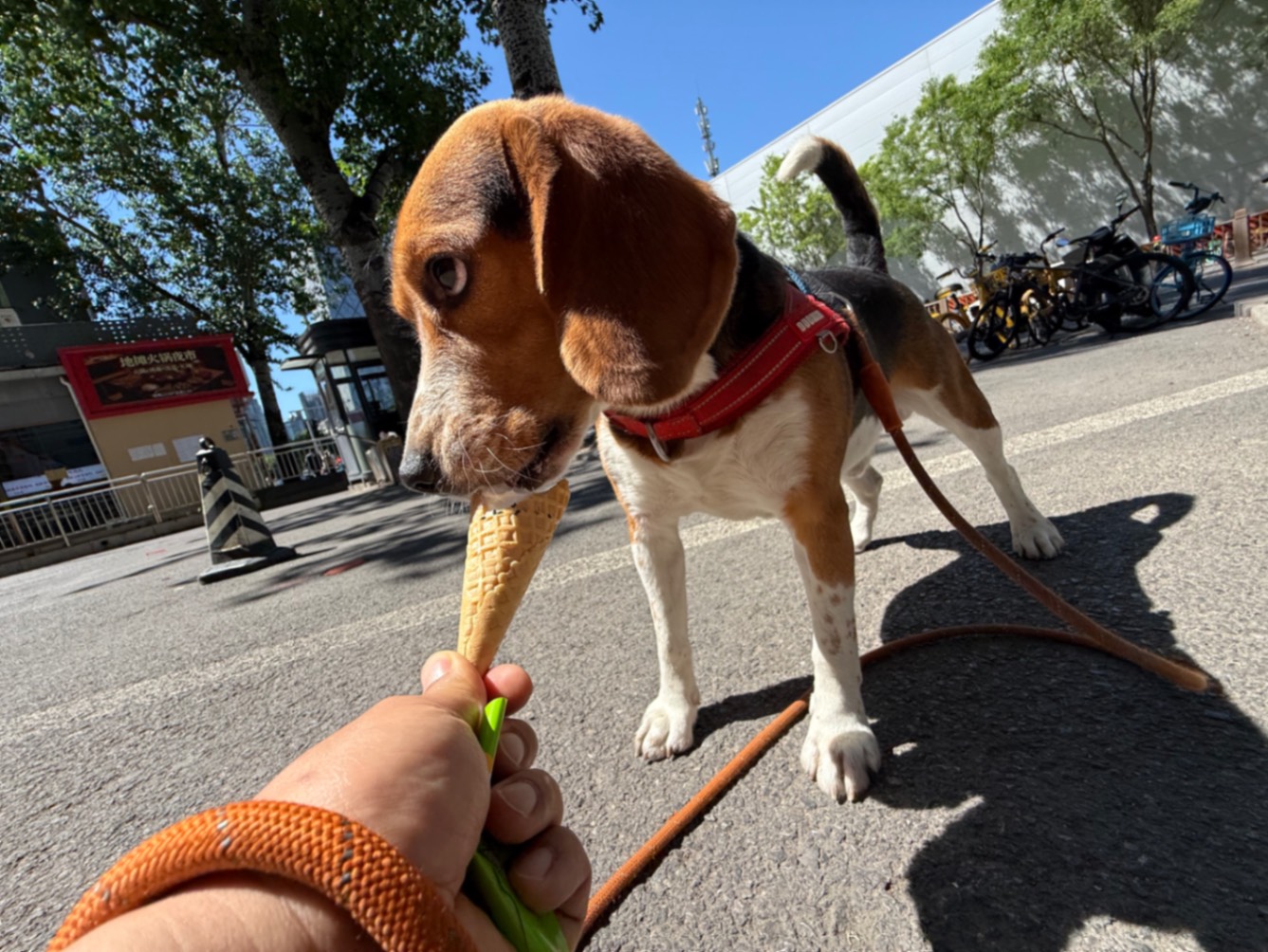 办公室的多巴胺