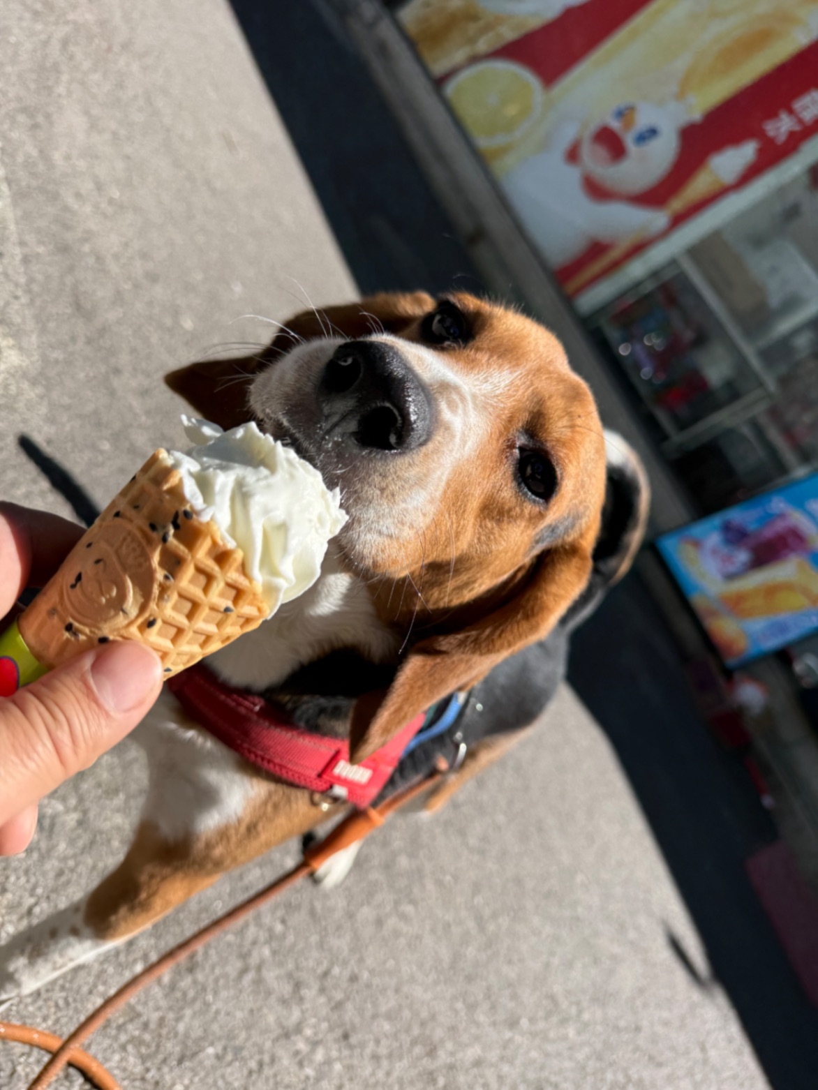 办公室的多巴胺