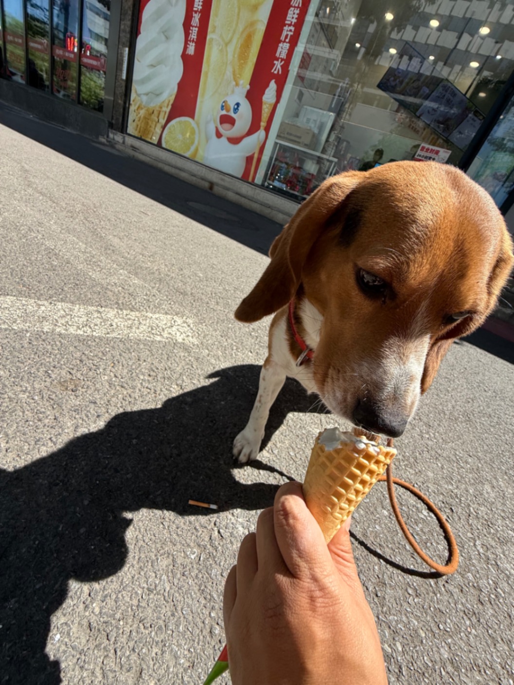 办公室的多巴胺