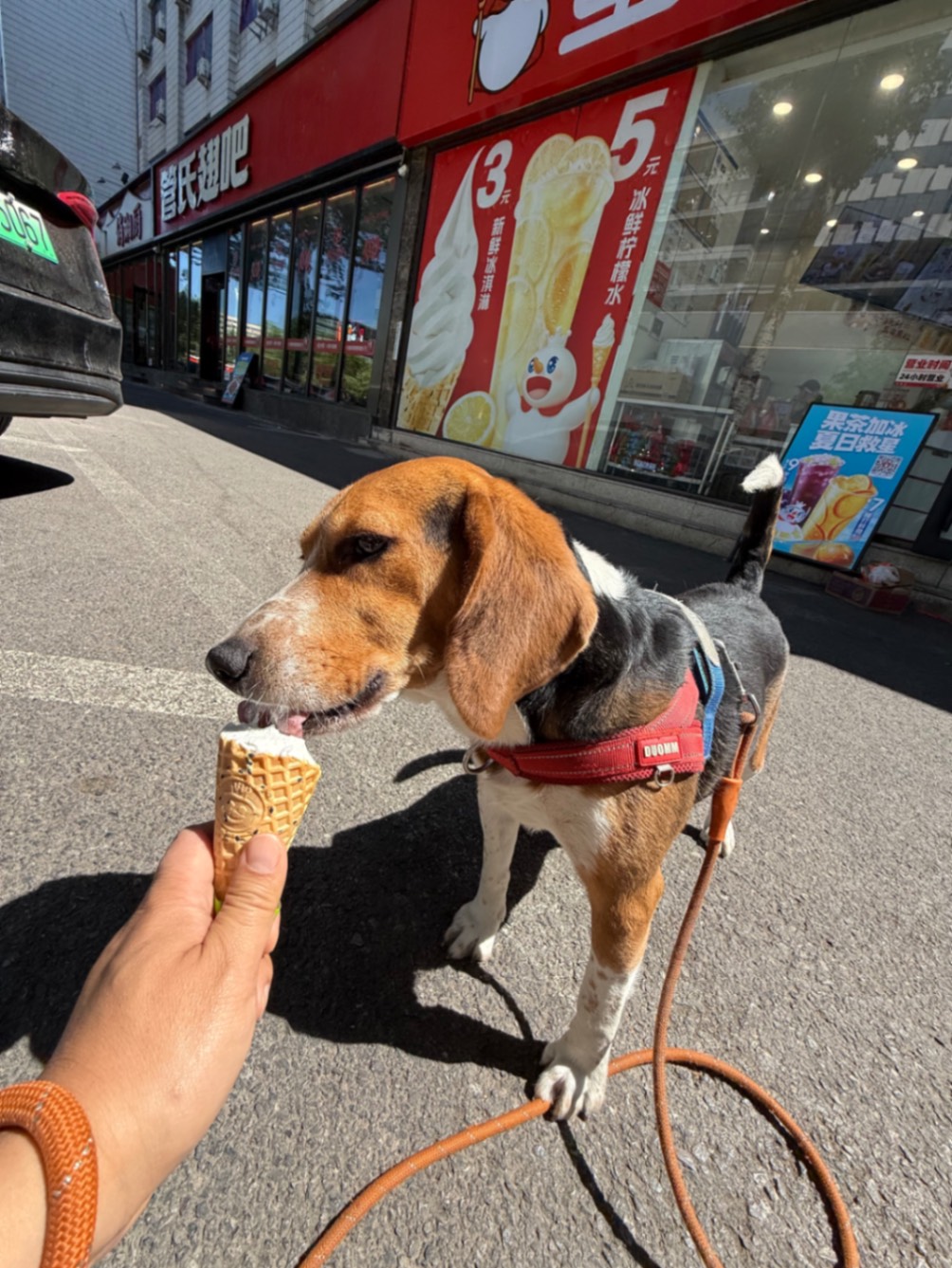 办公室的多巴胺