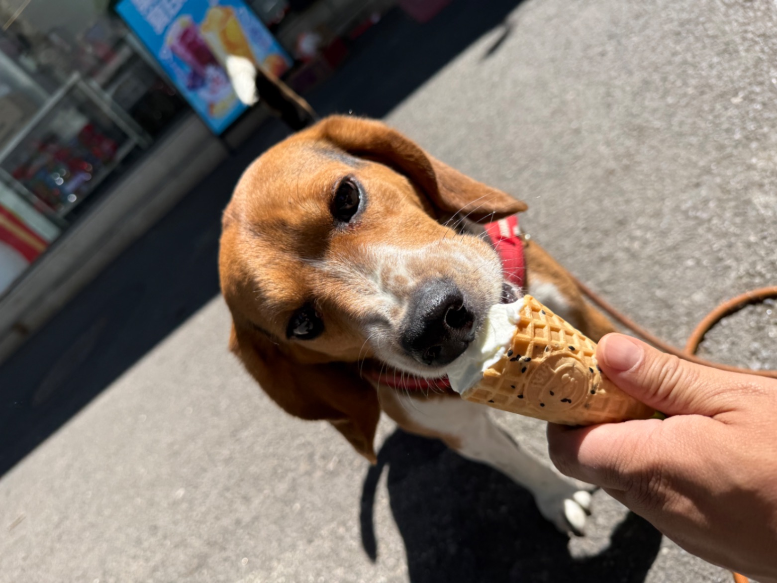 办公室的多巴胺