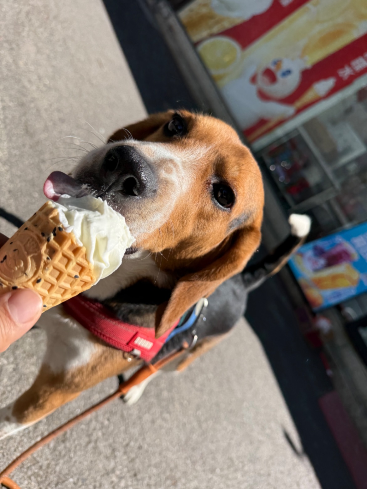 办公室的多巴胺