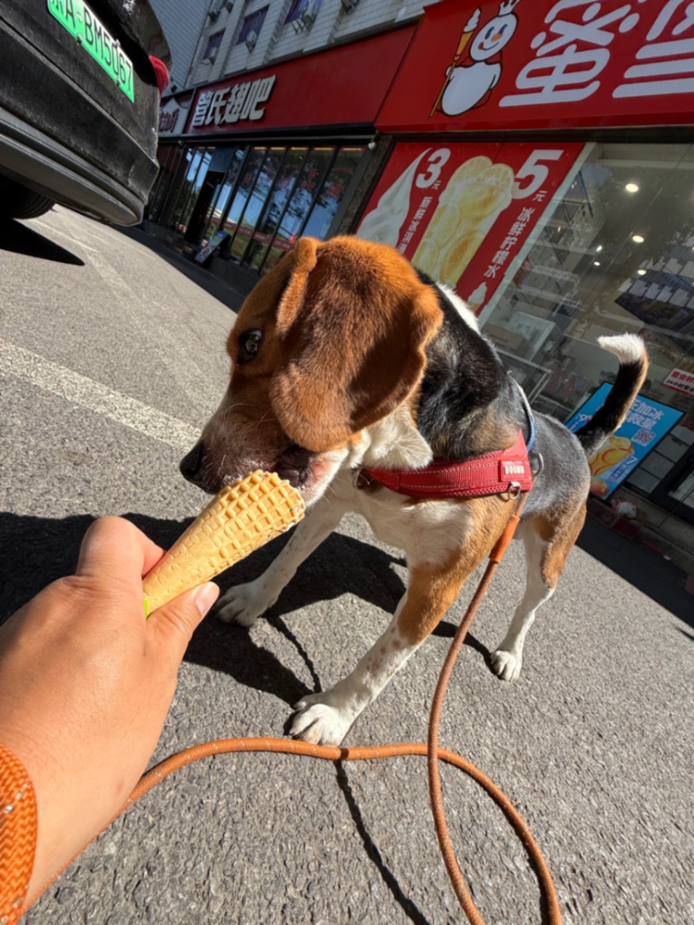 办公室的多巴胺