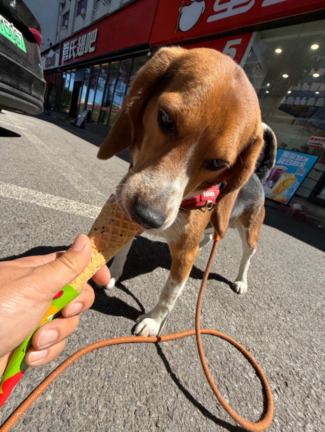 办公室的多巴胺