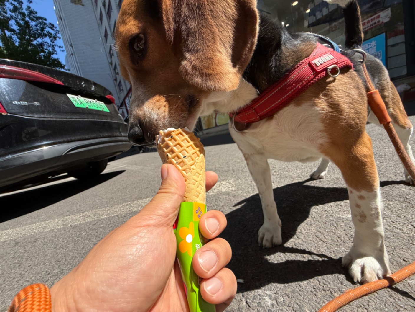 办公室的多巴胺