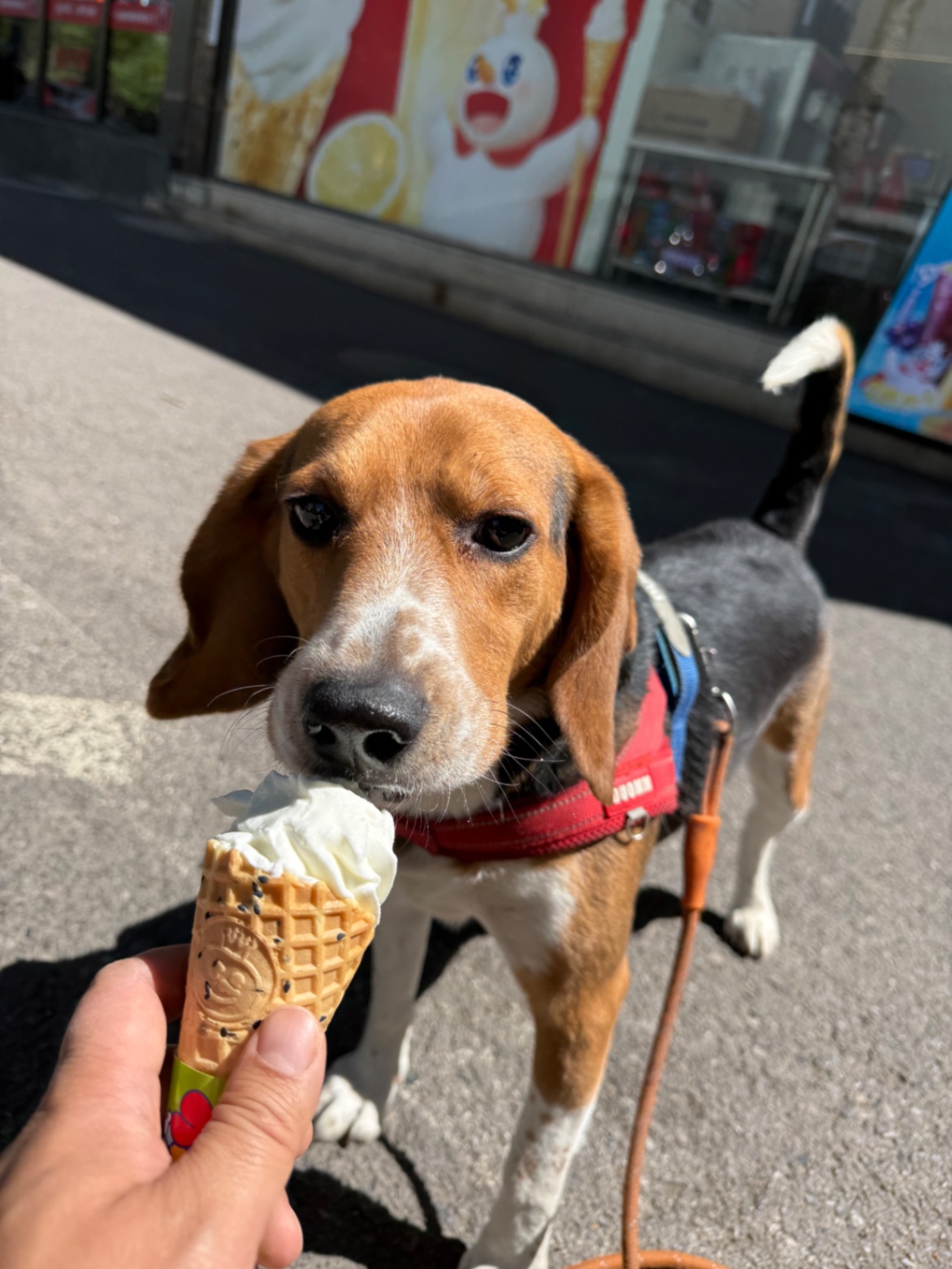 办公室的多巴胺