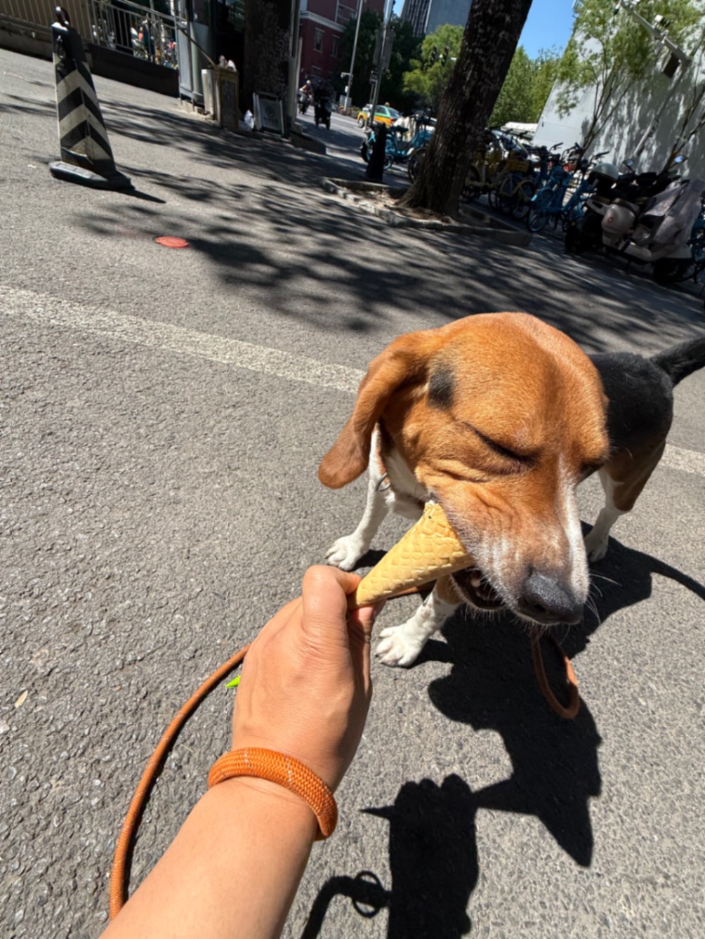 办公室的多巴胺