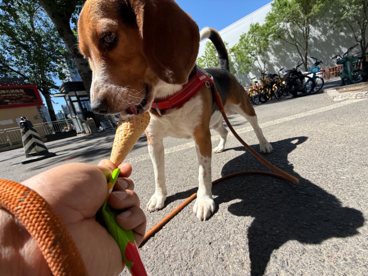 办公室的多巴胺