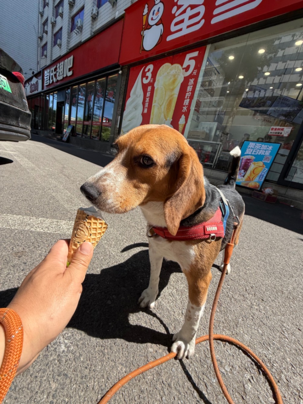 办公室的多巴胺