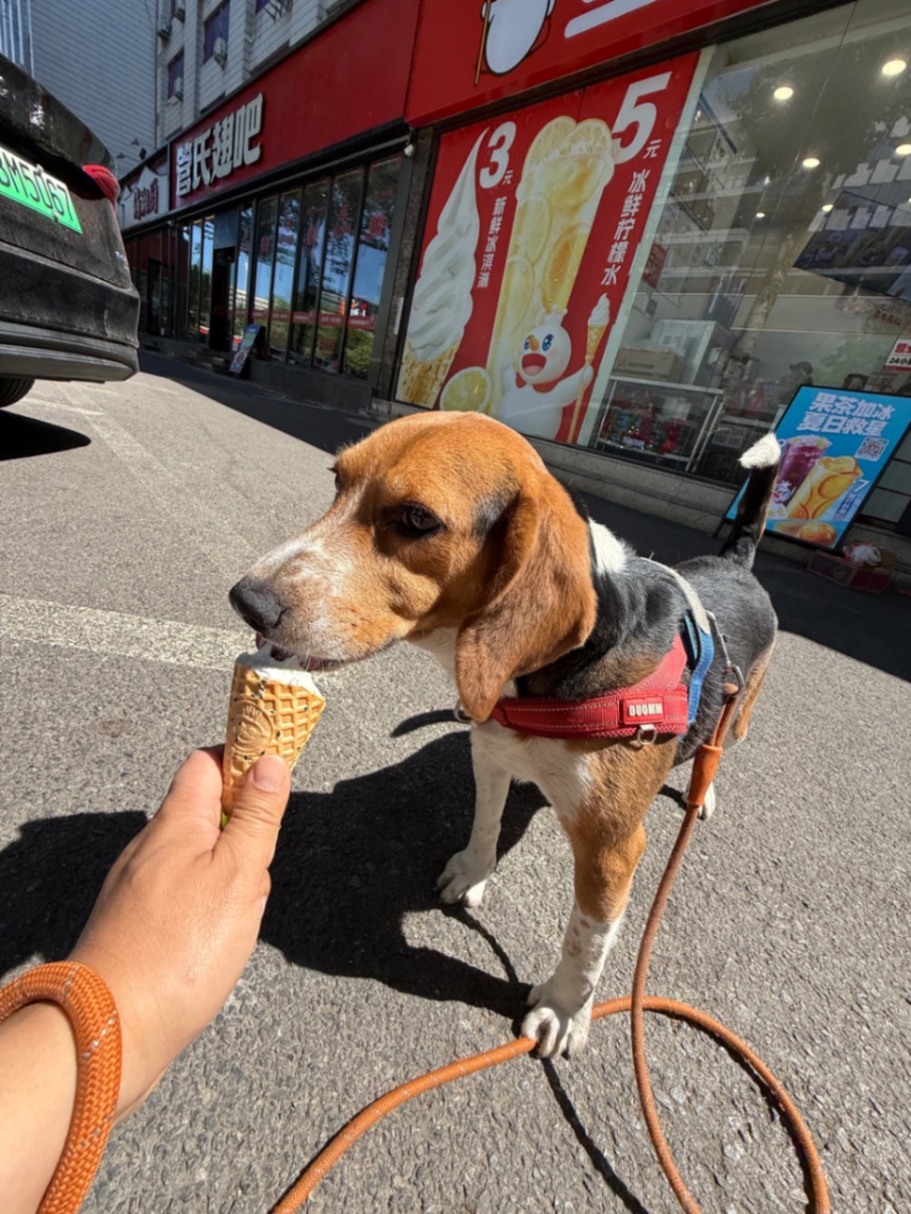 办公室的多巴胺