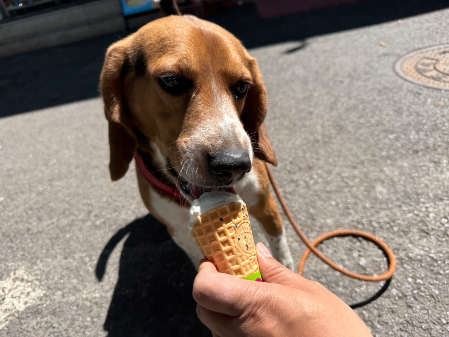 办公室的多巴胺