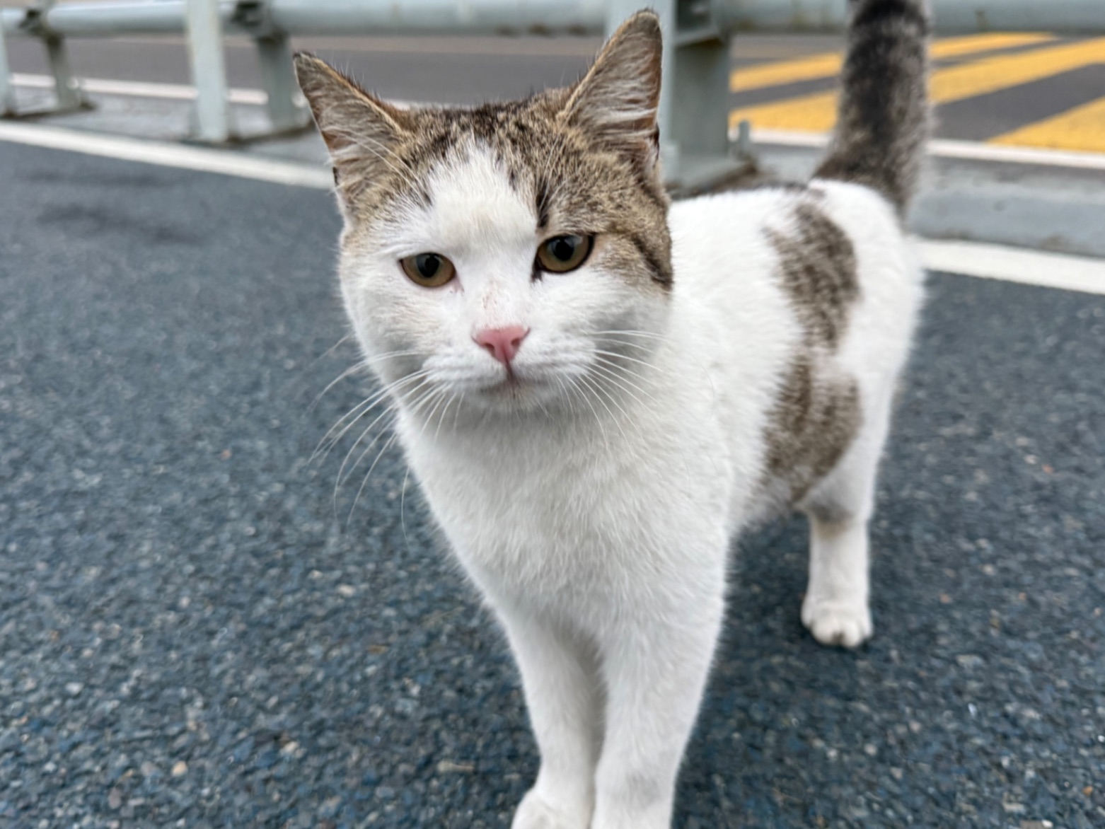 东海自驾—-霞浦