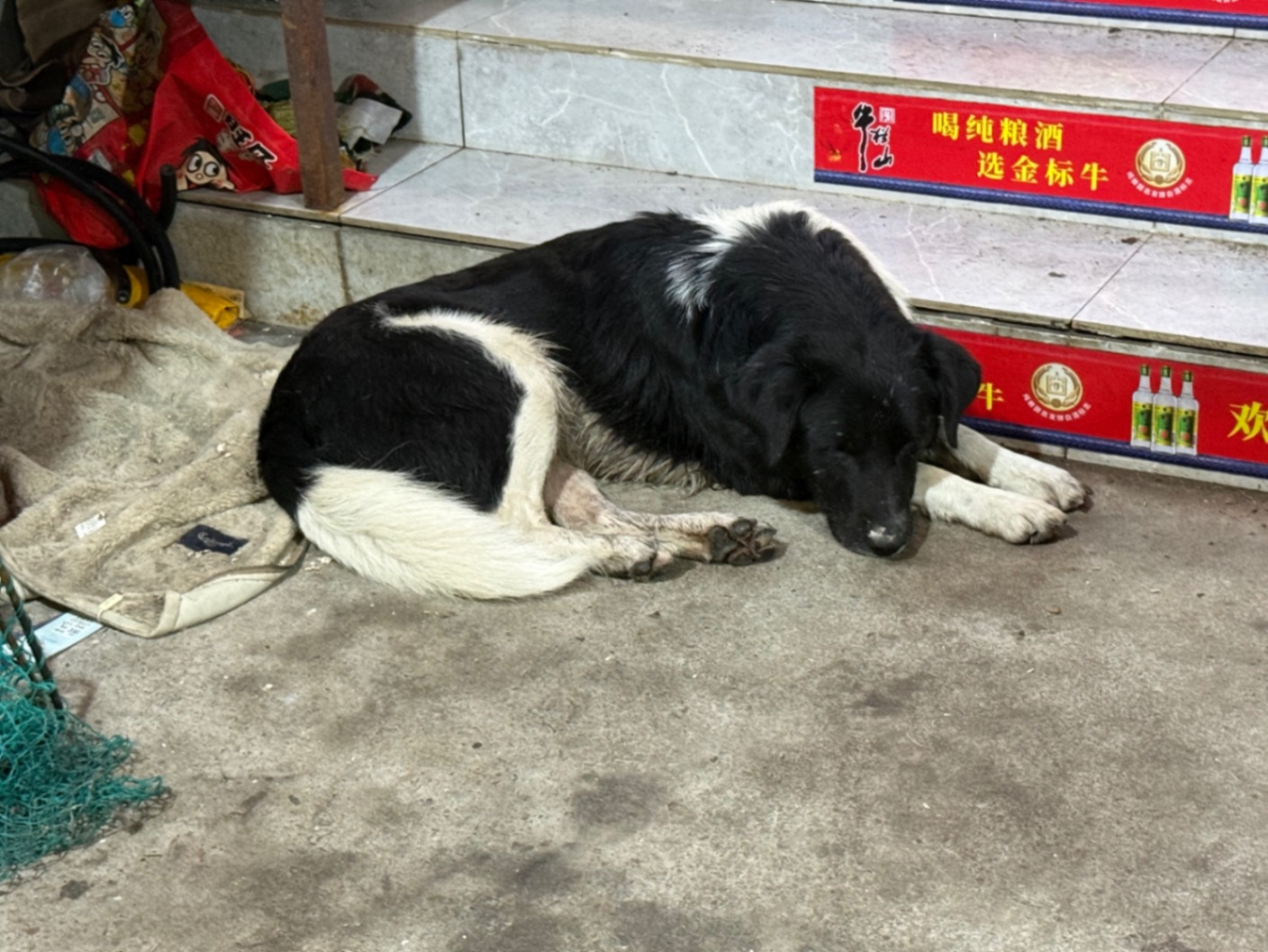 东海自驾—-霞浦