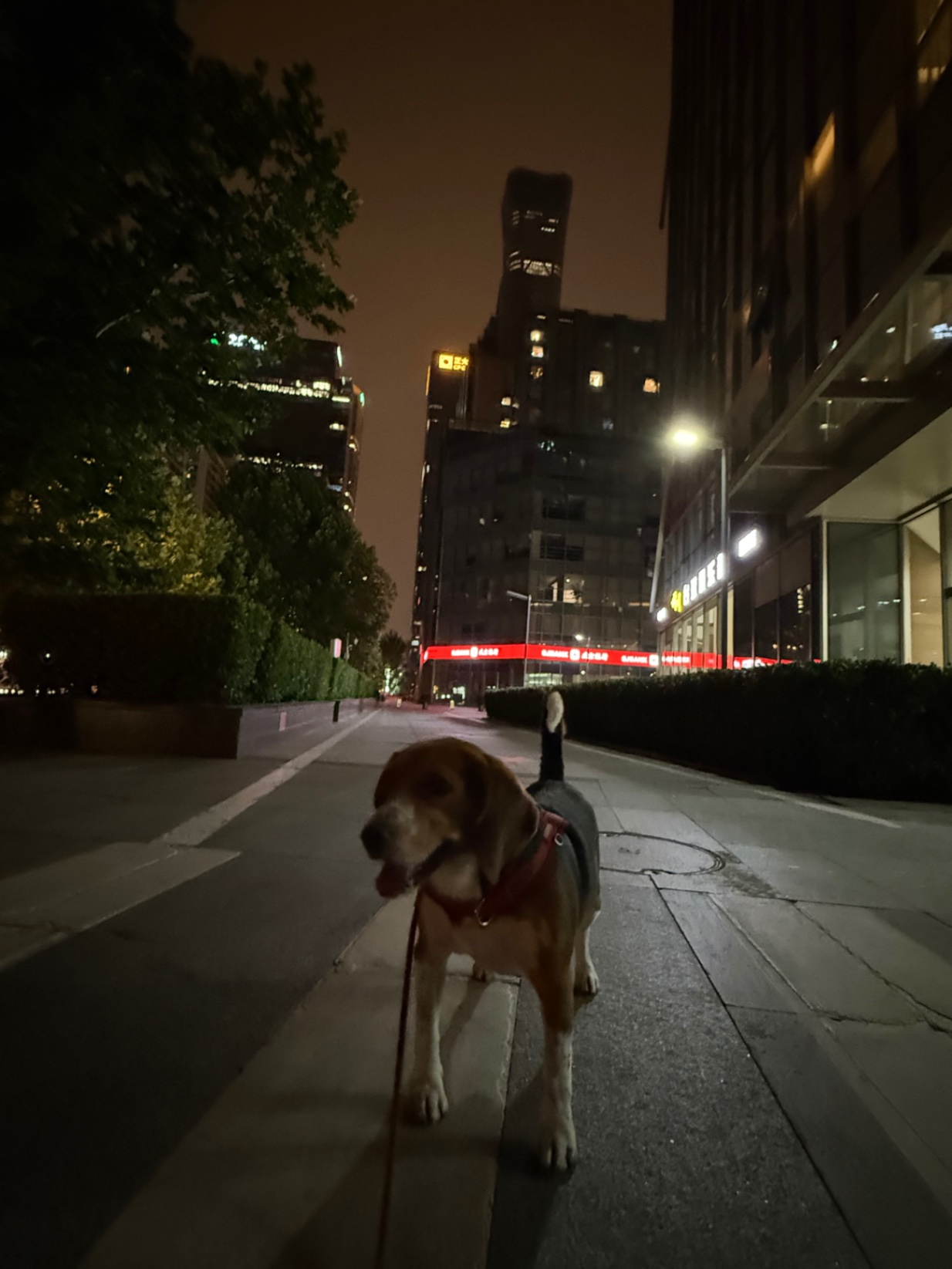 六月的最后一天
