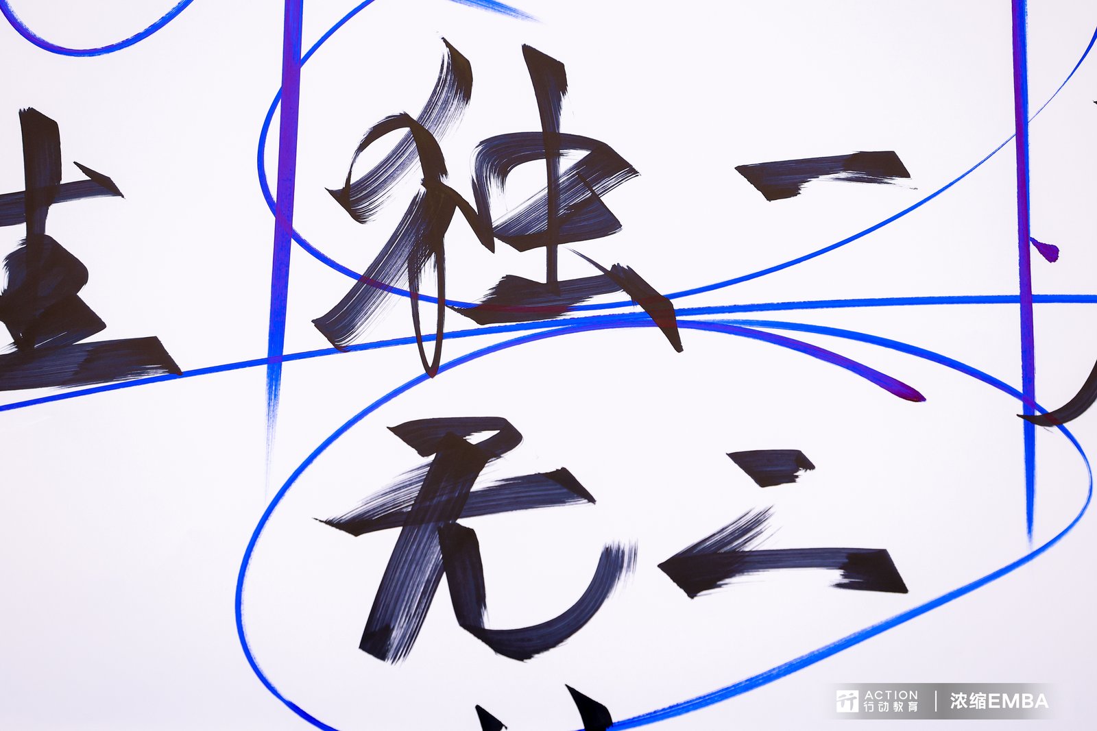 上海-行动教育浓缩EMBA