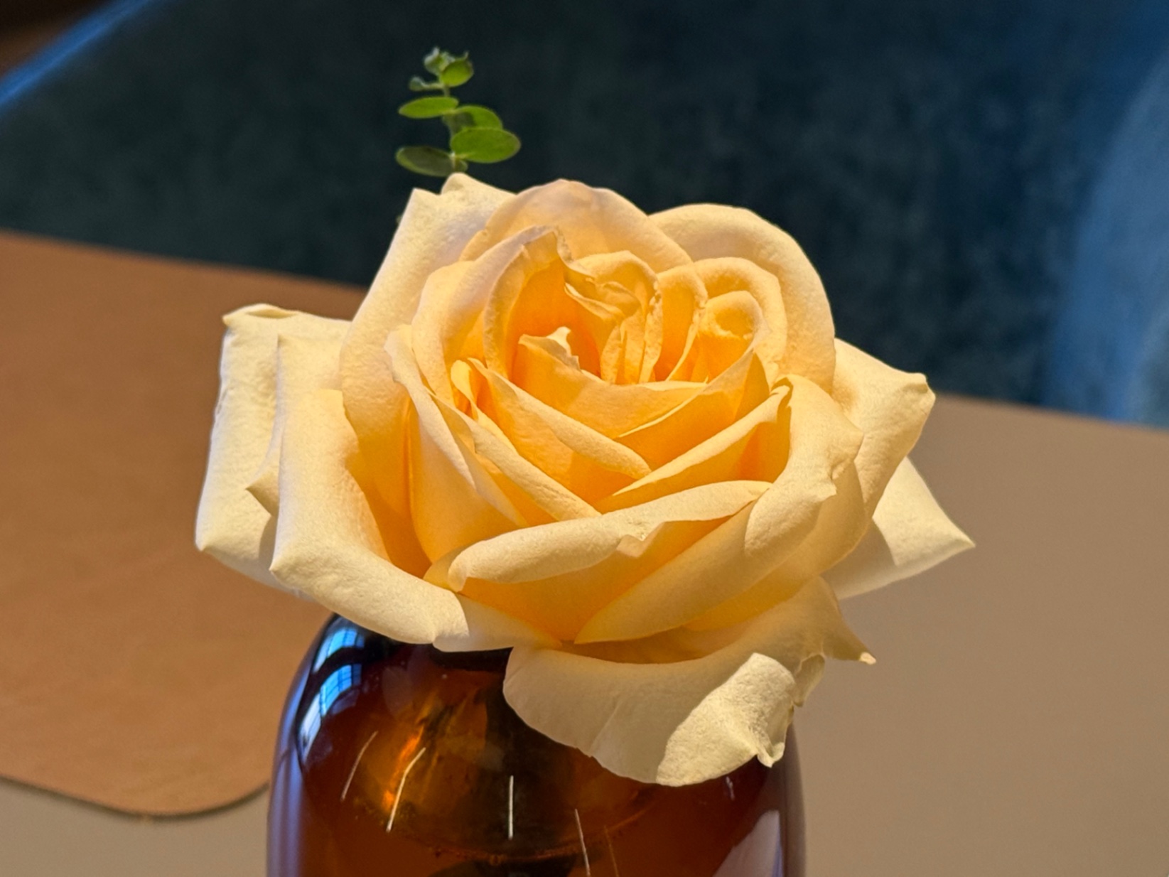 上海-行动教育浓缩EMBA