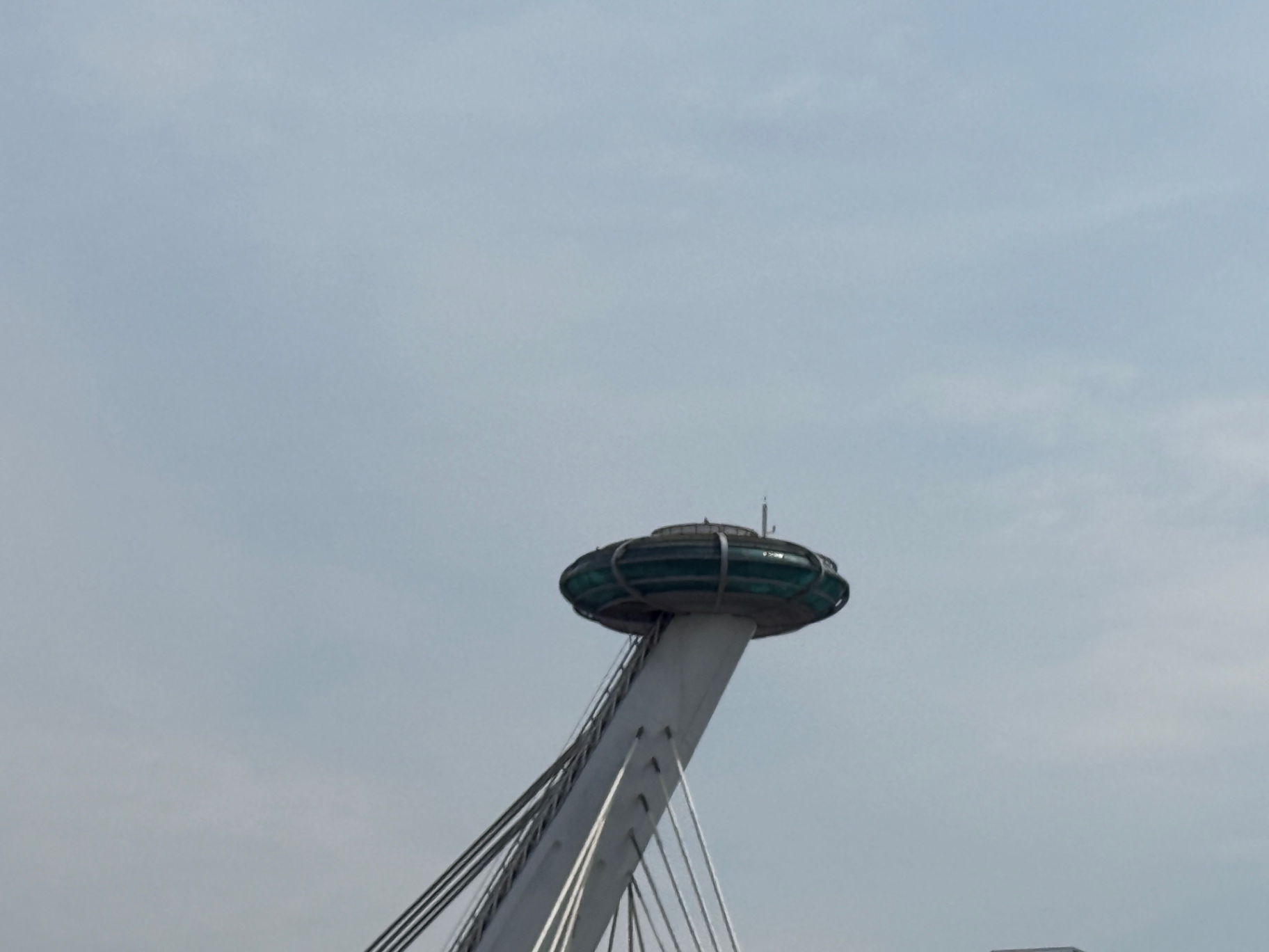 IMG_4626.jpeg